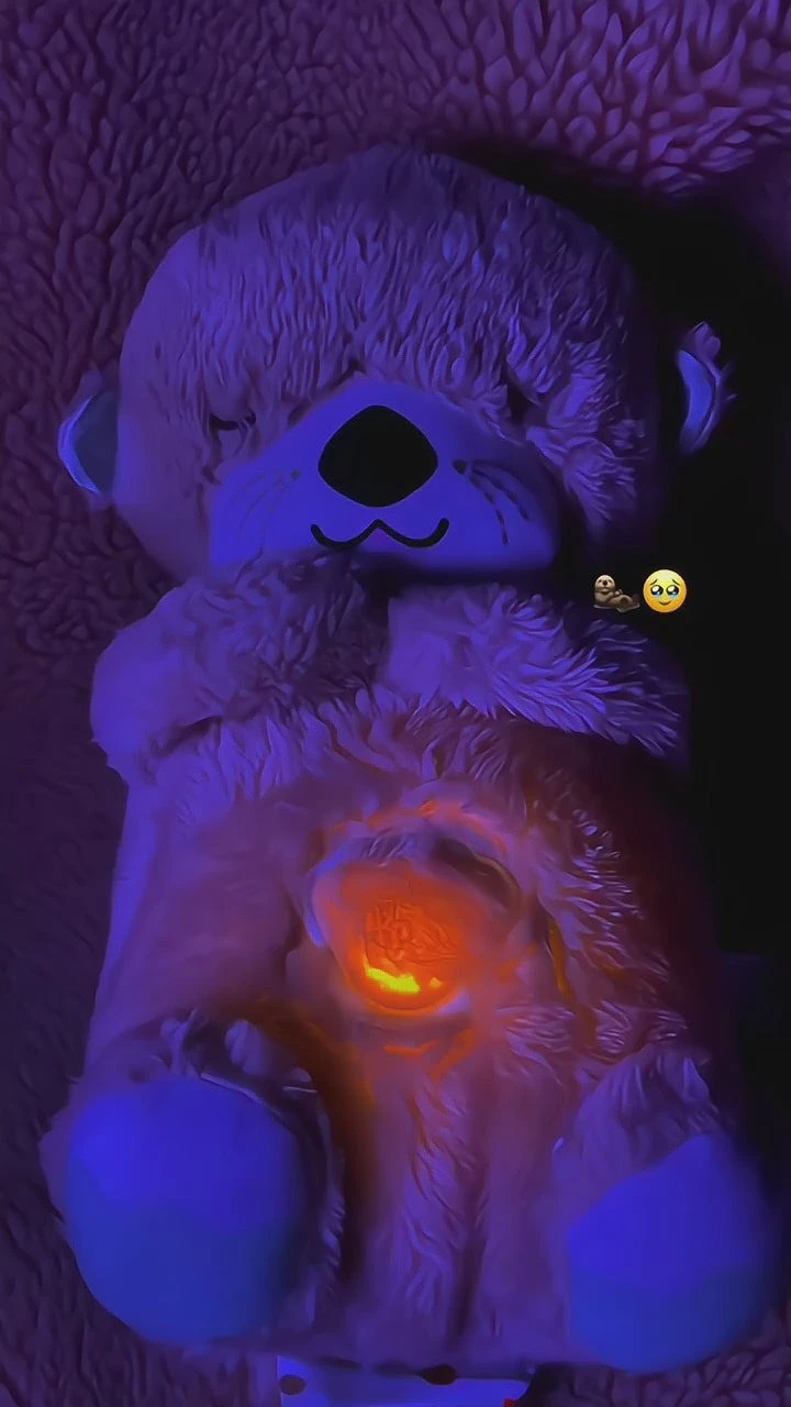 Breath Buddy Teddy Bear 2 teddy bear that breathes